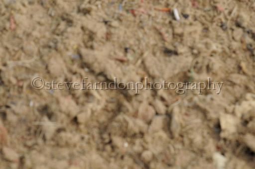 NRS_0444.JPG - (C)S.FARNDON
