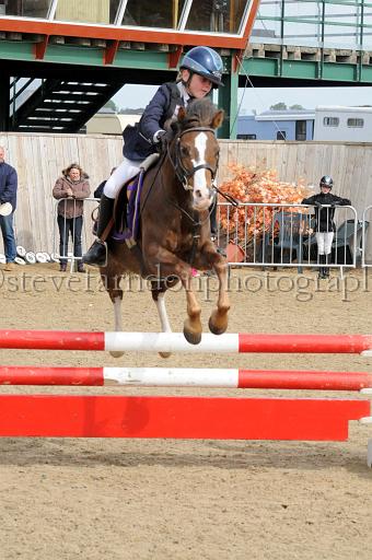 NRS_0484.JPG - (C)S.FARNDON