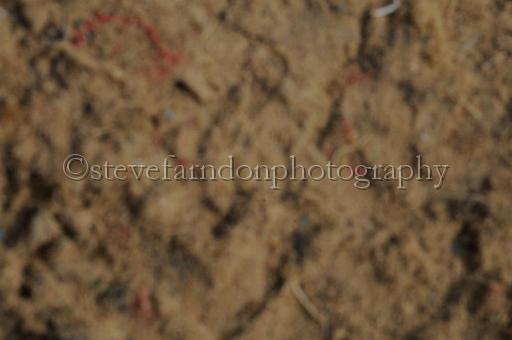 NRS_0594.JPG - (C)S.FARNDON