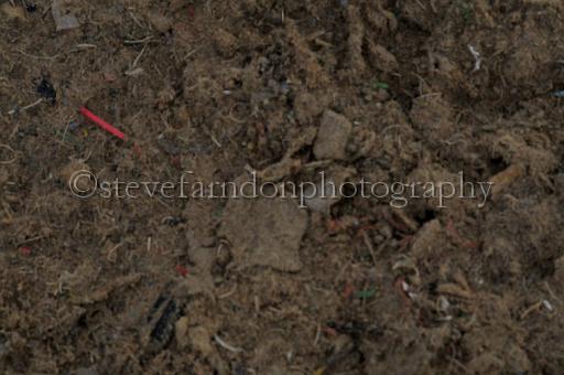NRS_0644.JPG - (C)S.FARNDON