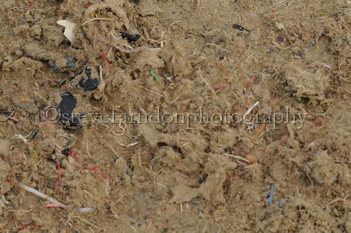 NRS_0666.JPG - (C)S.FARNDON
