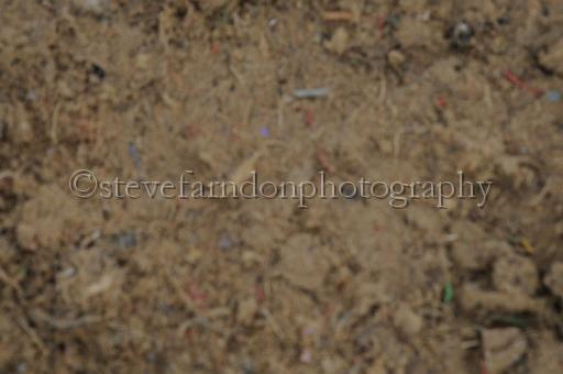 NRS_0690.JPG - (C)S.FARNDON
