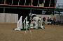 NRS_0219