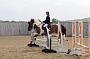 NRS_0223
