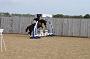 NRS_0242