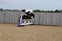 NRS_0243