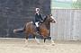 NRS_0247