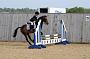 NRS_0262