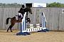 NRS_0275