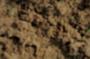NRS_0278