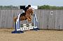 NRS_0282