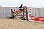 NRS_0285