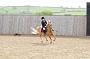 NRS_0287