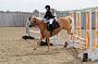 NRS_0289