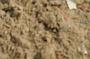 NRS_0298