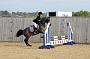 NRS_0315