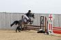 NRS_0319