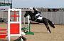 NRS_0336