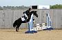 NRS_0337