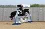 NRS_0338