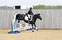 NRS_0339