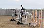 NRS_0354