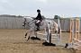 NRS_0355