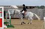 NRS_0356