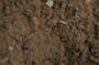 NRS_0376