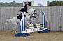 NRS_0381