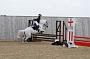 NRS_0384
