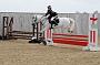 NRS_0393