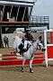 NRS_0395