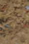 NRS_0399