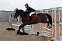 NRS_0432
