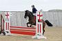 NRS_0433