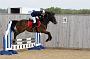NRS_0441