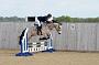 NRS_0449