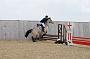 NRS_0451