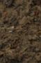 NRS_0466