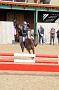 NRS_0481