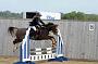 NRS_0487
