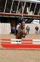 NRS_0509