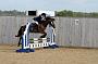 NRS_0525