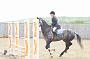NRS_0553