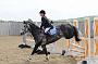 NRS_0556