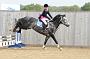 NRS_0569