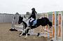 NRS_0584