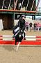 NRS_0590