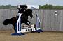 NRS_0601
